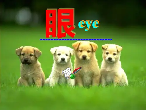 临床医学人体解剖视器