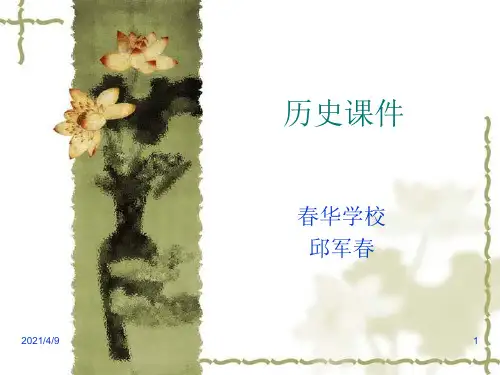 历史：第13课《动荡的中东地区》课件(人教版九年级下)