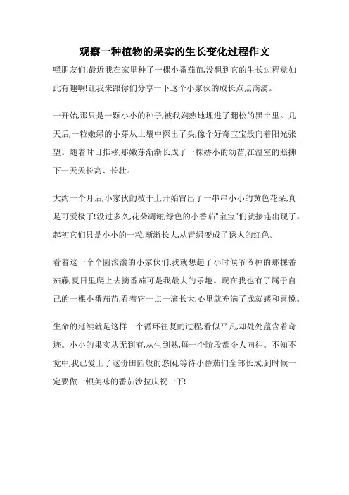 观察一种植物的果实的生长变化过程作文
