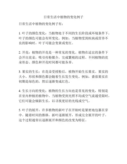 日常生活中植物的变化例子