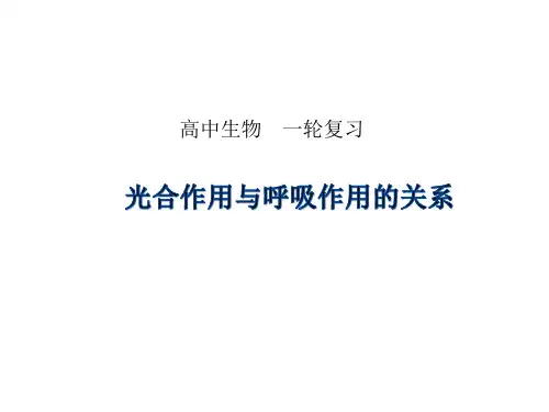 高中生物 03-光合作用与呼吸作用的关系(共18张ppt)