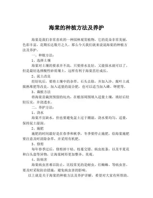 海棠的种植方法及养护