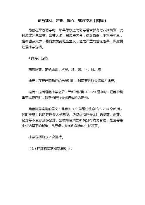 葡萄抹芽、定梢、摘心、绑蔓技术（图解）