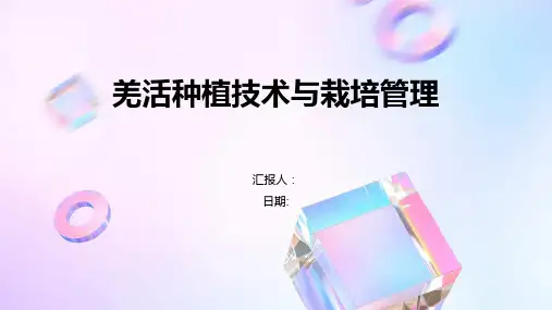 羌活种植技术与栽培管理