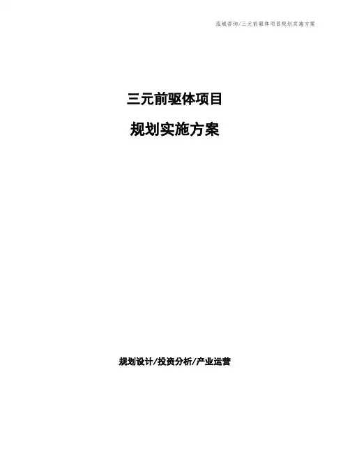 三元前驱体项目规划实施方案