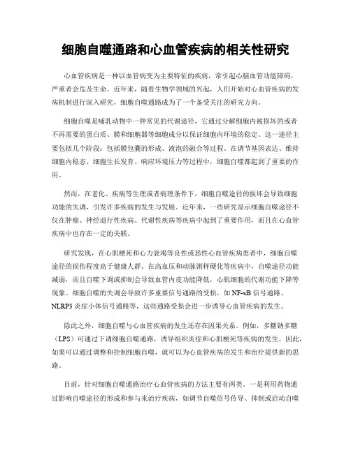 细胞自噬通路和心血管疾病的相关性研究