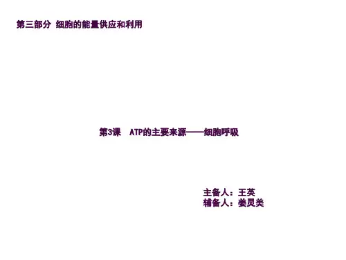 一轮复习细胞呼吸ppt课件