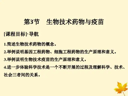 2021版高中生物第3章生物科学与工业3.3生物技术药物与疫苗课件新人教版选修2