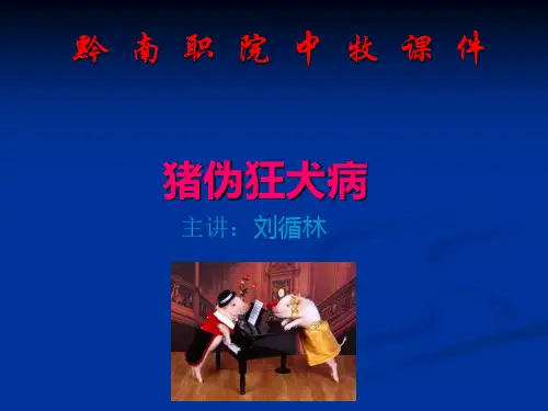 3猪伪狂犬病-PPT课件