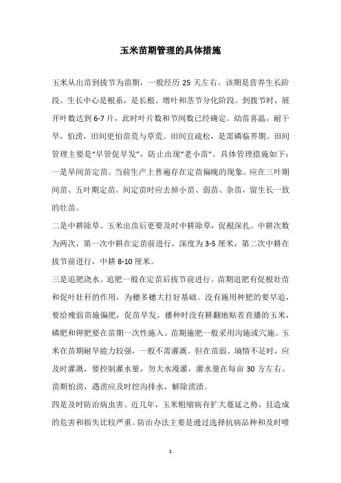 玉米苗期管理的具体措施
