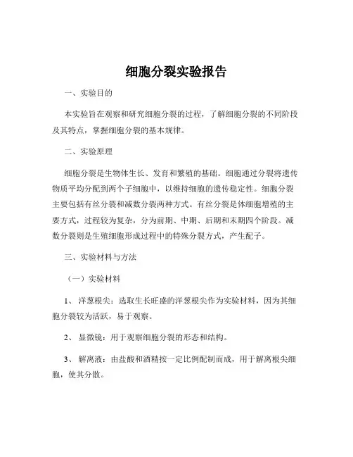 细胞分裂实验报告