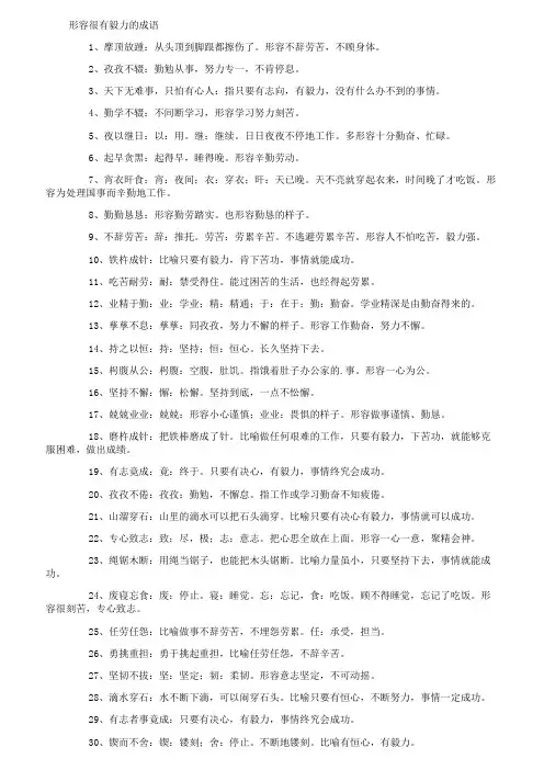 形容很有毅力的成语
