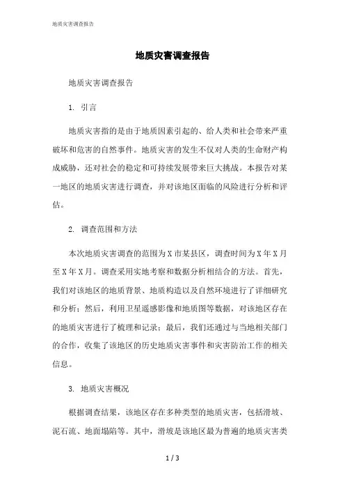 2023修正版地质灾害调查报告[1]