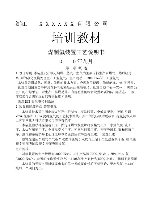 煤制氢装置工艺说明书