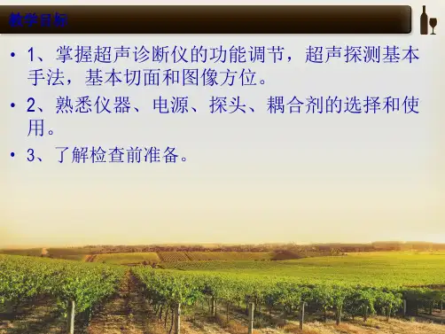第五章  腹部超声探测方法(共26张PPT)