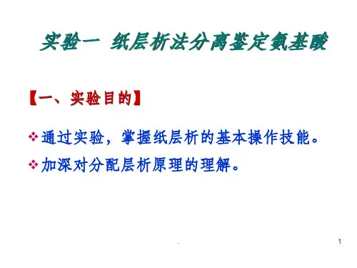 纸层析法分离鉴定氨基酸