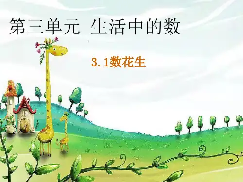 北师大版数学1年级下册 第3单元(生活中的数)数花生 课件(共16张PPT)