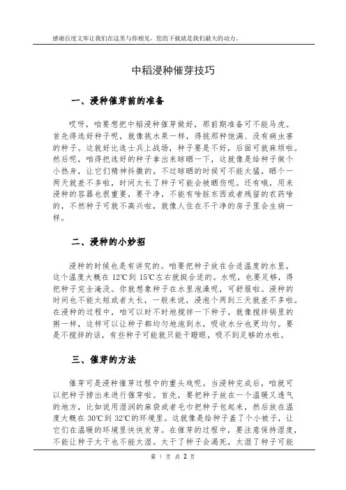 中稻浸种催芽技巧