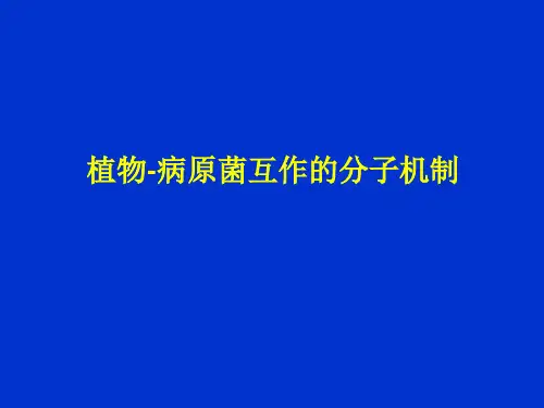 植物-病原菌互作的分子机制