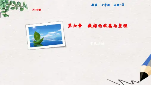 七年级数学上册 第6章 数据的收集与整理章末小结课件 (新版)北师大版
