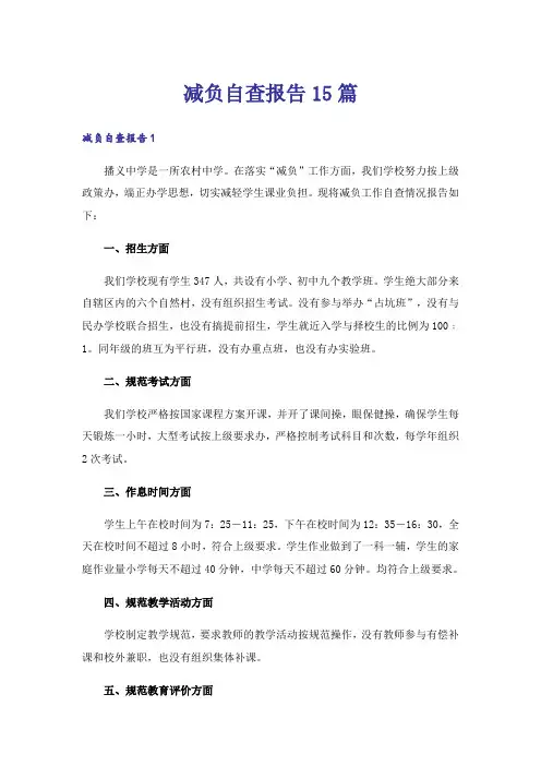 减负自查报告15篇