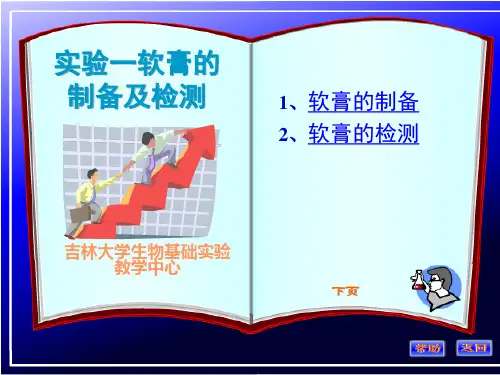 软膏剂的制备与检测
