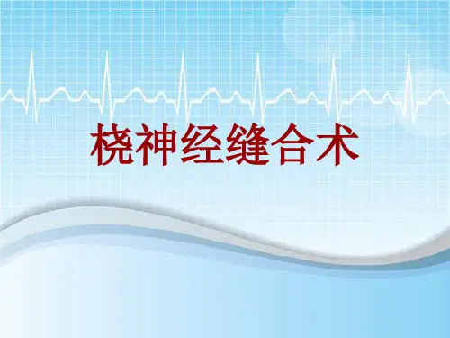 手术讲解模板：桡神经缝合术