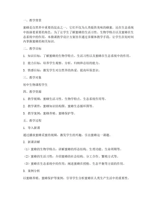 蜜蜂微课教学设计方案