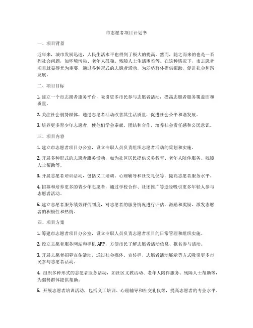 市志愿者项目计划书