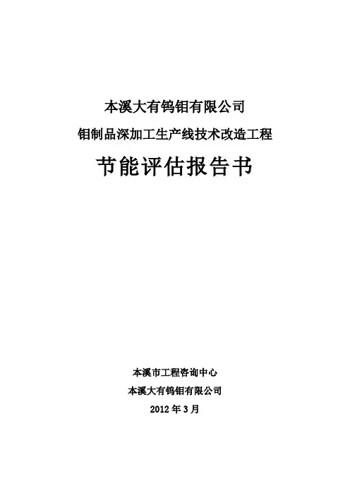 钼制品深加工生产线技术改造工程节能报告书
