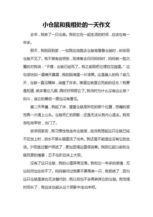 小仓鼠和我相处的一天作文