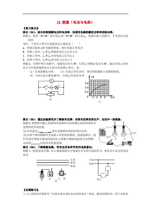 江苏省六合区竹镇民族中学中考物理二轮复习 13 能量(电功与电热)(无答案)