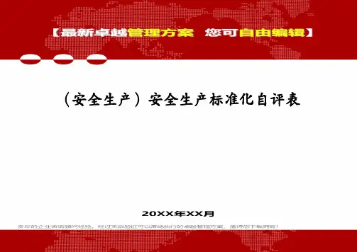 (安全生产)安全生产标准化自评表