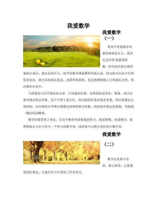 我爱数学(共10篇)