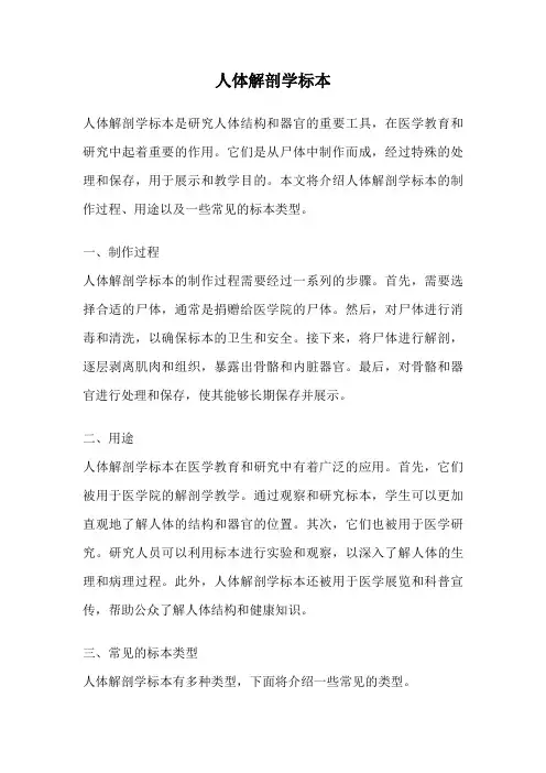 人体解剖学标本