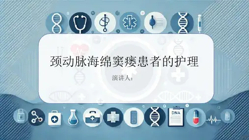 颈动脉海绵窦瘘患者的护理PPT课件
