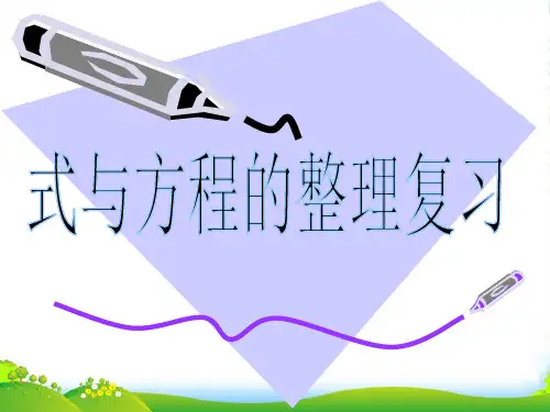 苏教版六年级数学下册《式与方程)总复习课件