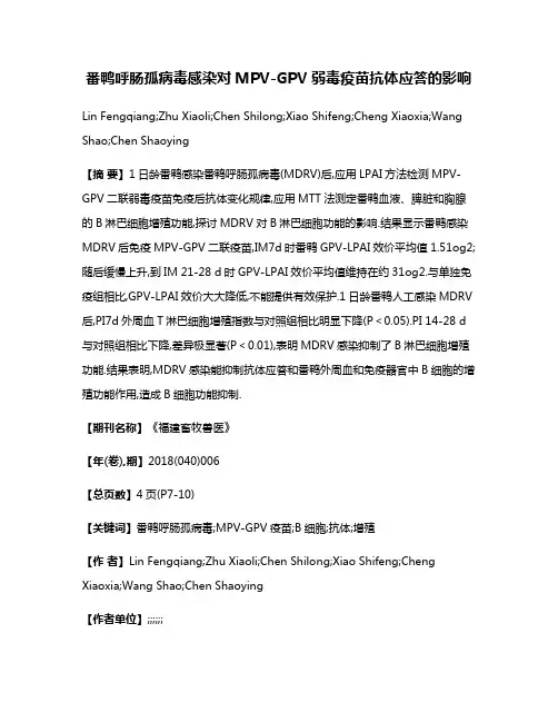 番鸭呼肠孤病毒感染对MPV-GPV弱毒疫苗抗体应答的影响
