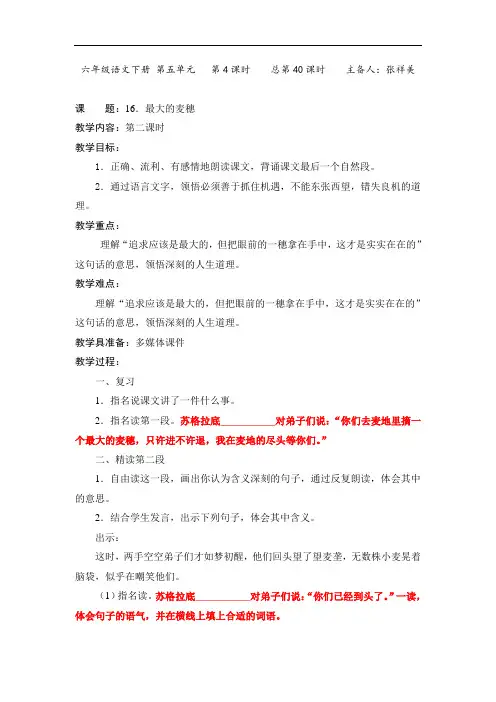 六年级下册语文教案-第五单元 最大的麦穗2-
