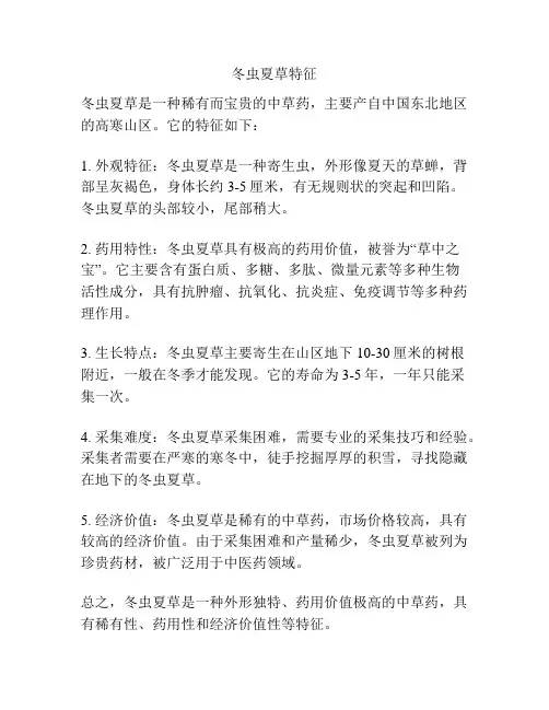 冬虫夏草特征