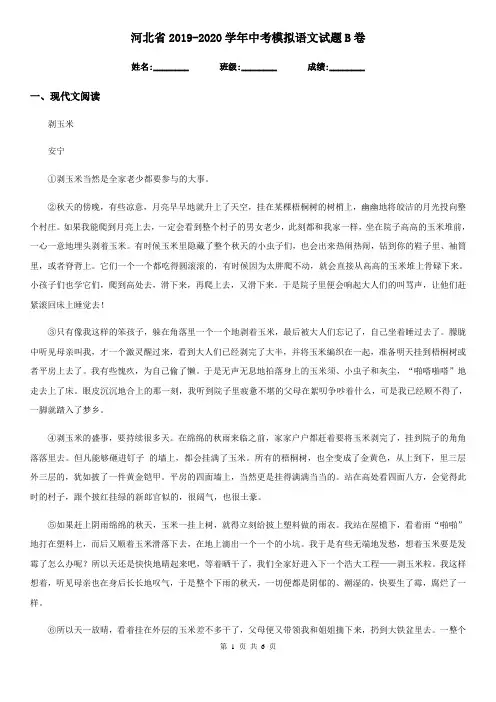 河北省2019-2020学年中考模拟语文试题B卷