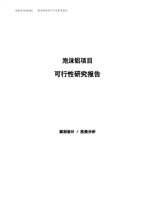 2020年泡沫铝项目可行性研究报告
