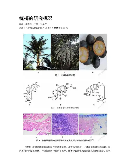 桄榔的研究概况
