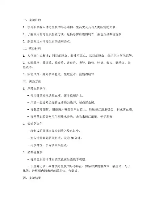 人体寄生虫学实验报告