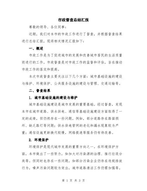 市政督查总结汇报