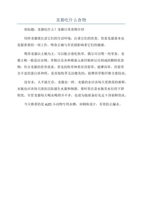 龙猫吃什么食物