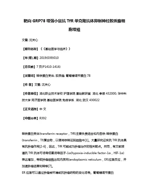 靶向GRP78增强小鼠抗TfR单克隆抗体抑制神经胶质瘤细胞增殖