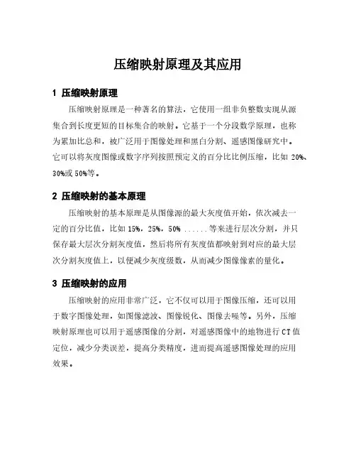 压缩映射原理及其应用