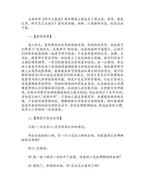 大班科学《种子大聚会》课件教案