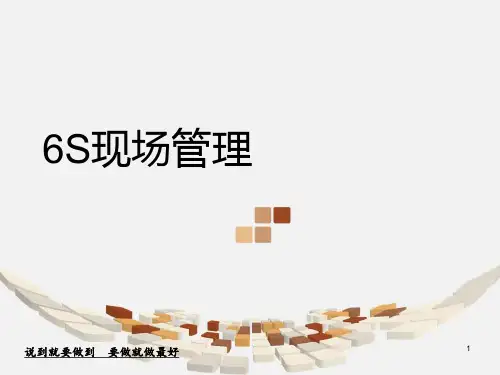6S现场管理知识(PPT61页).pptx